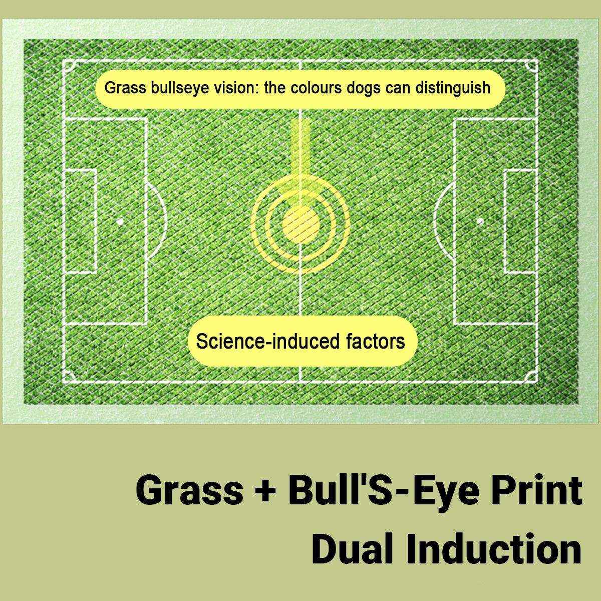 Dog Training Urinary Pads Fast Absorption & Leak-Proof