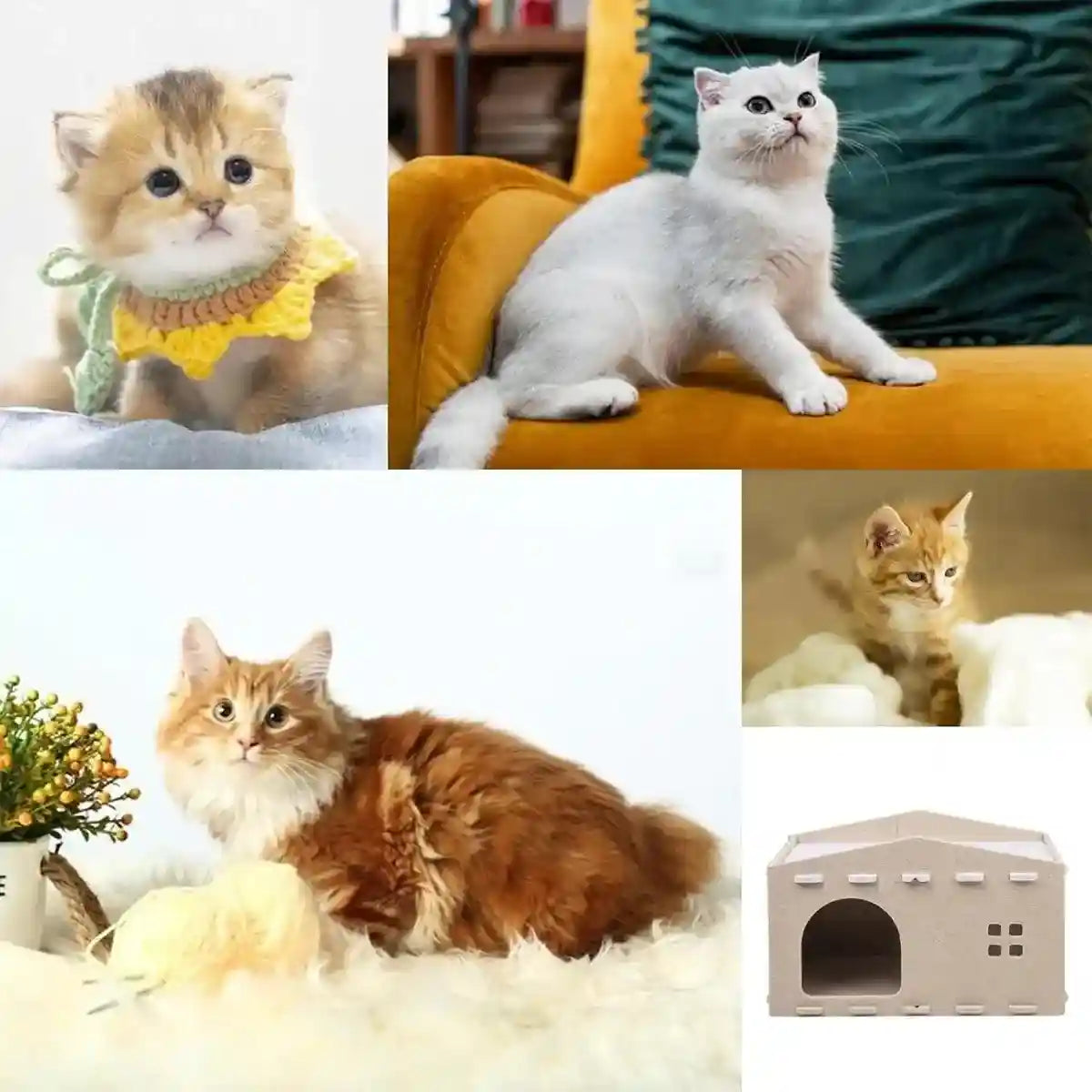 Multi-Level Cat Bed Retreat Enhance Your Cat’s Comfort