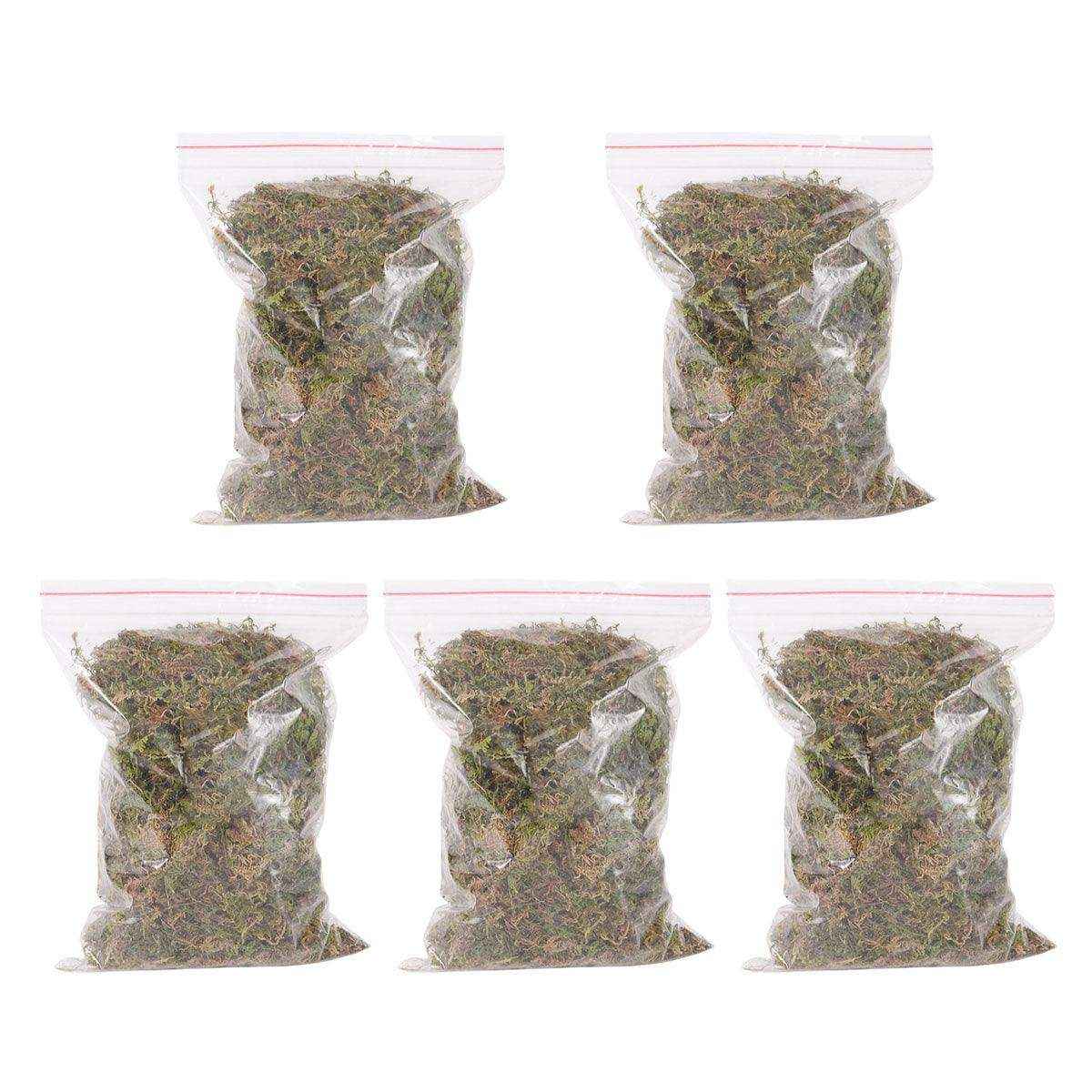 Natural Dry Moss for Hamsters & Reptiles Soft Bedding & Landscaping (100g)
