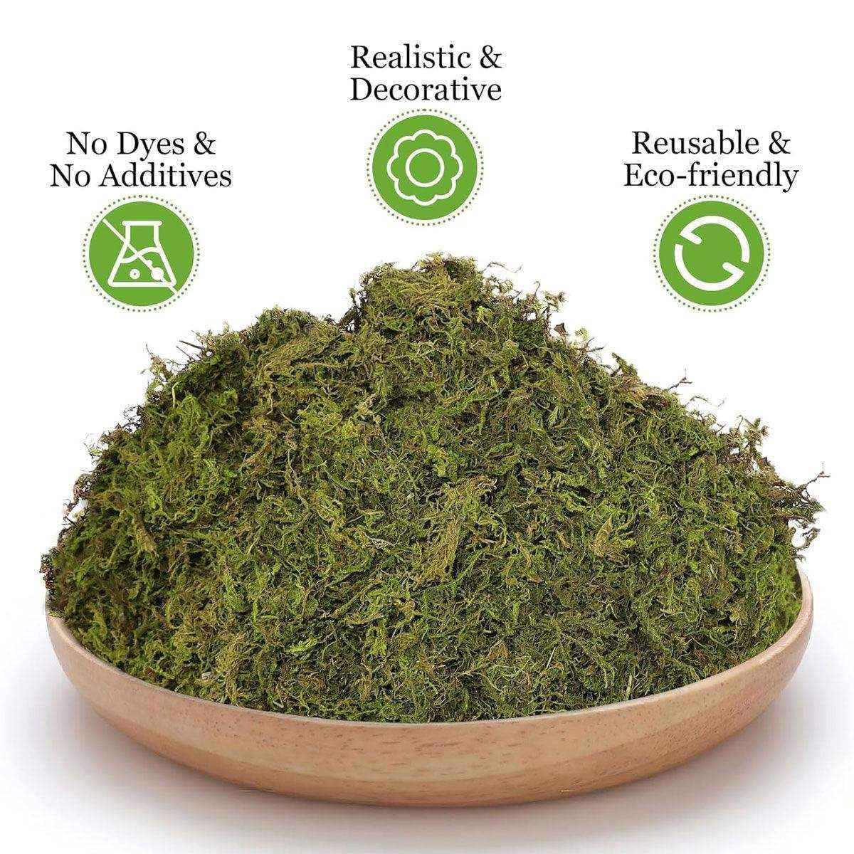 Natural Dry Moss for Hamsters & Reptiles Soft Bedding & Landscaping (100g)