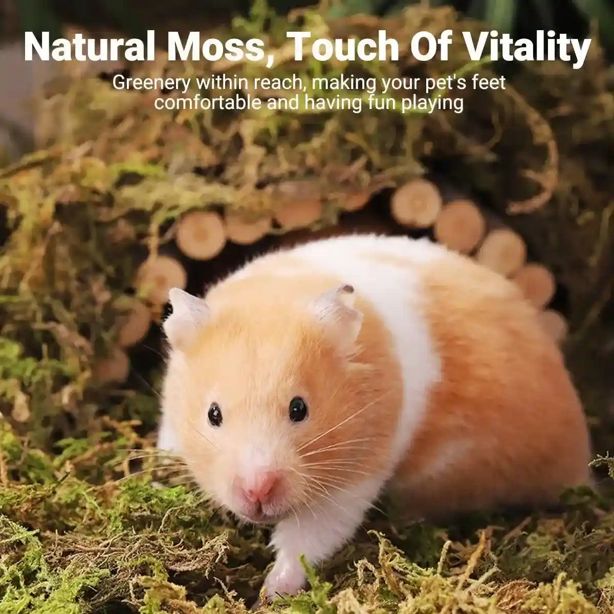 Natural Dry Moss for Hamsters & Reptiles Soft Bedding & Landscaping (100g)