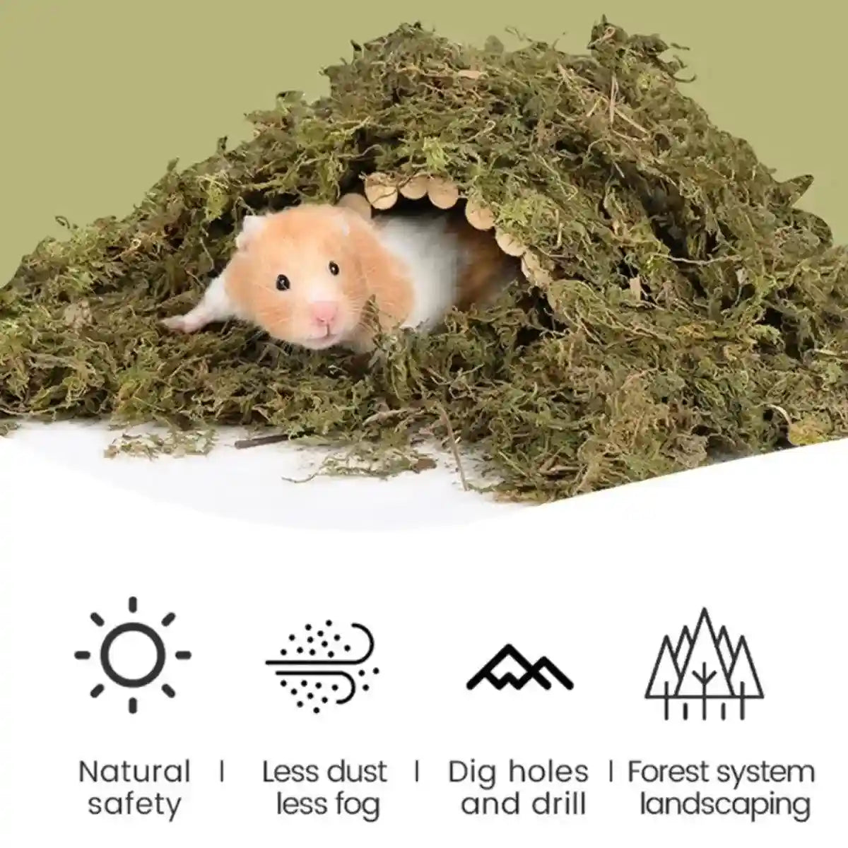 Natural Dry Moss for Hamsters & Reptiles Soft Bedding & Landscaping (100g)