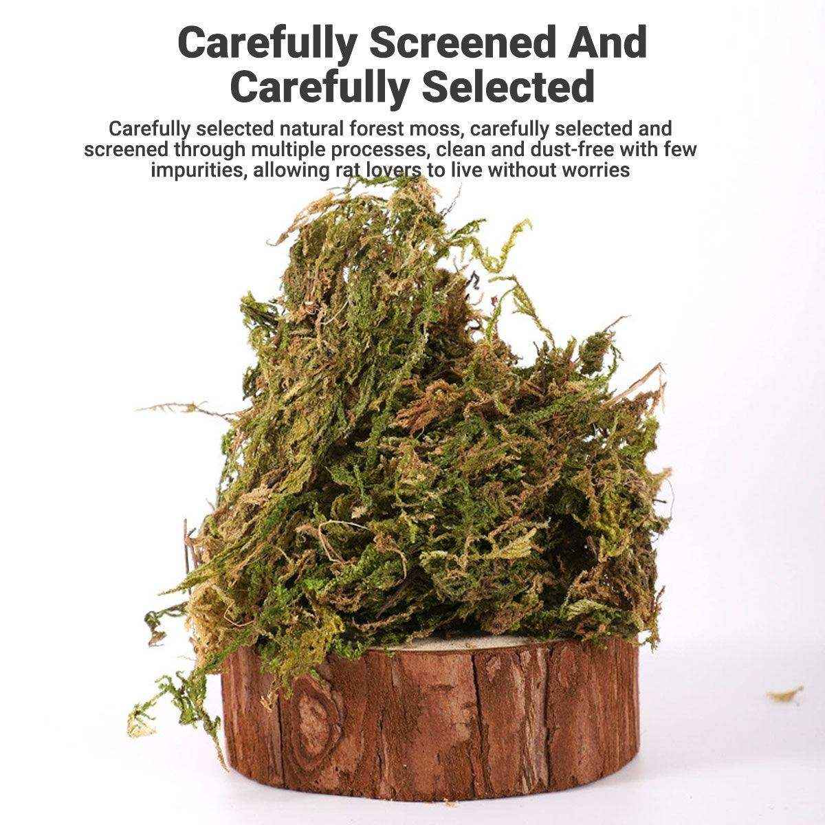 Natural Dry Moss for Hamsters & Reptiles Soft Bedding & Landscaping (100g)