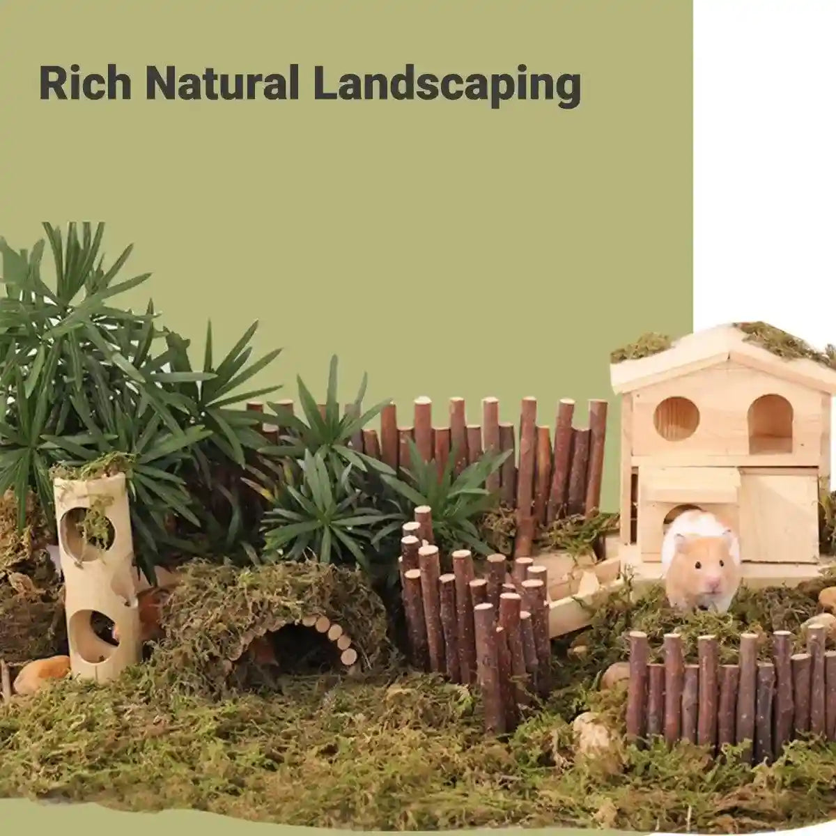 Natural Dry Moss for Hamsters & Reptiles Soft Bedding & Landscaping (100g)