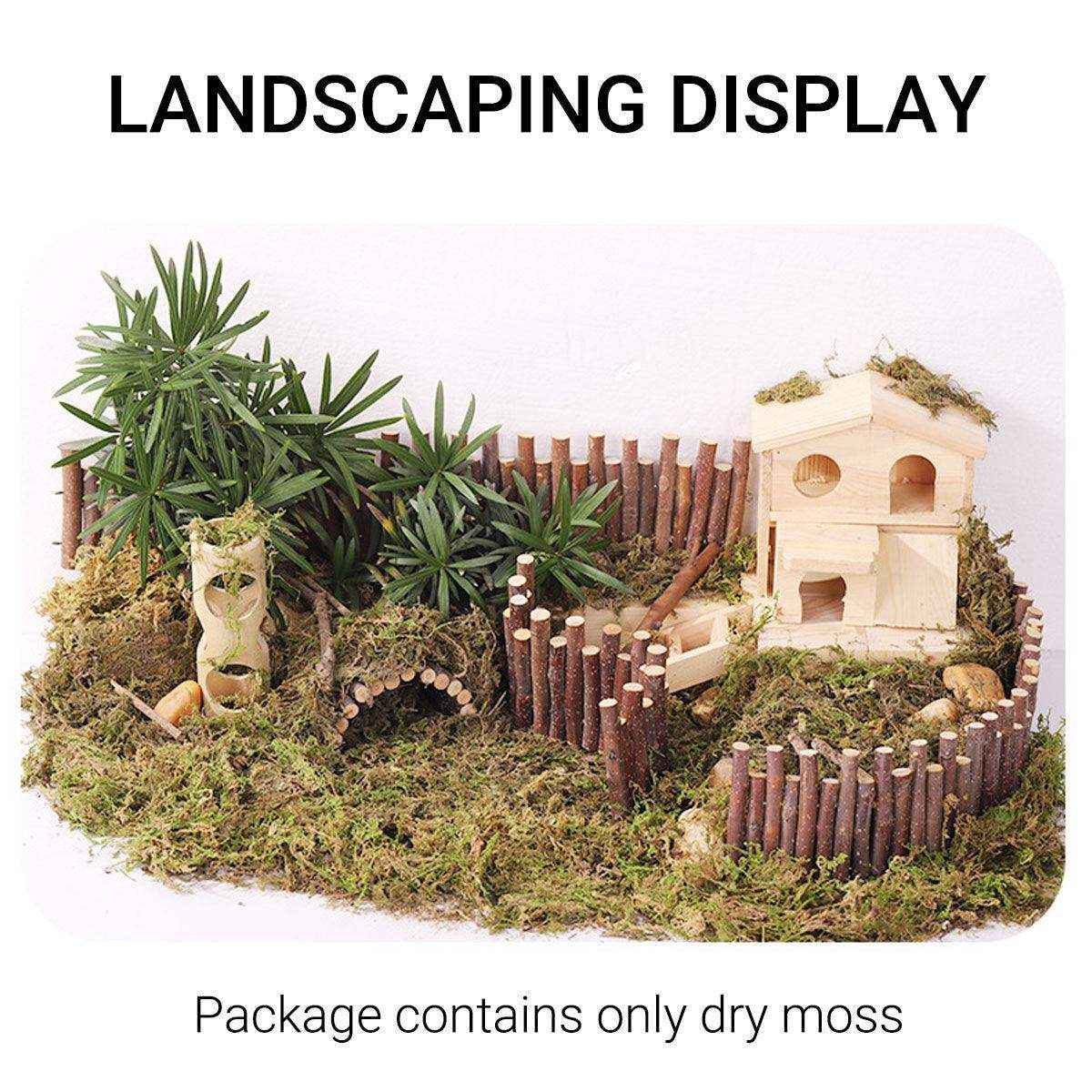 Natural Dry Moss for Hamsters & Reptiles Soft Bedding & Landscaping (100g)