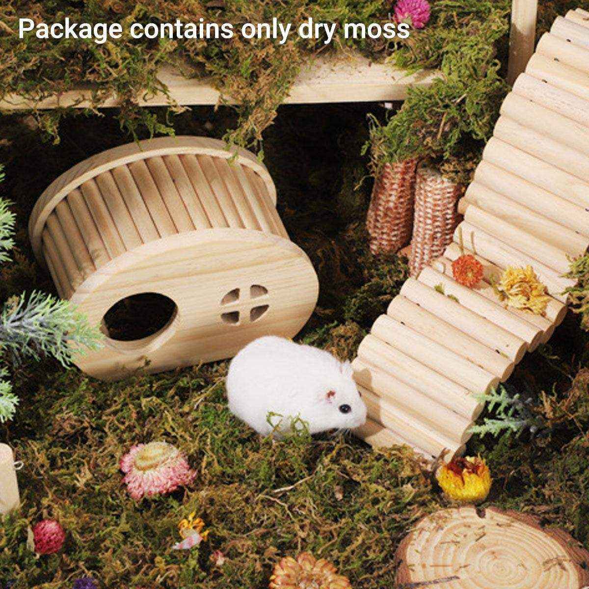 Natural Dry Moss for Hamsters & Reptiles Soft Bedding & Landscaping (100g)