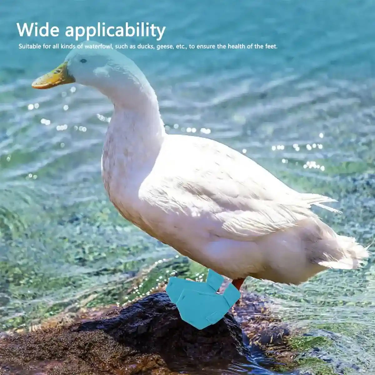 Adjustable Duck Shoes for Outdoor Foot Protection and Comfort