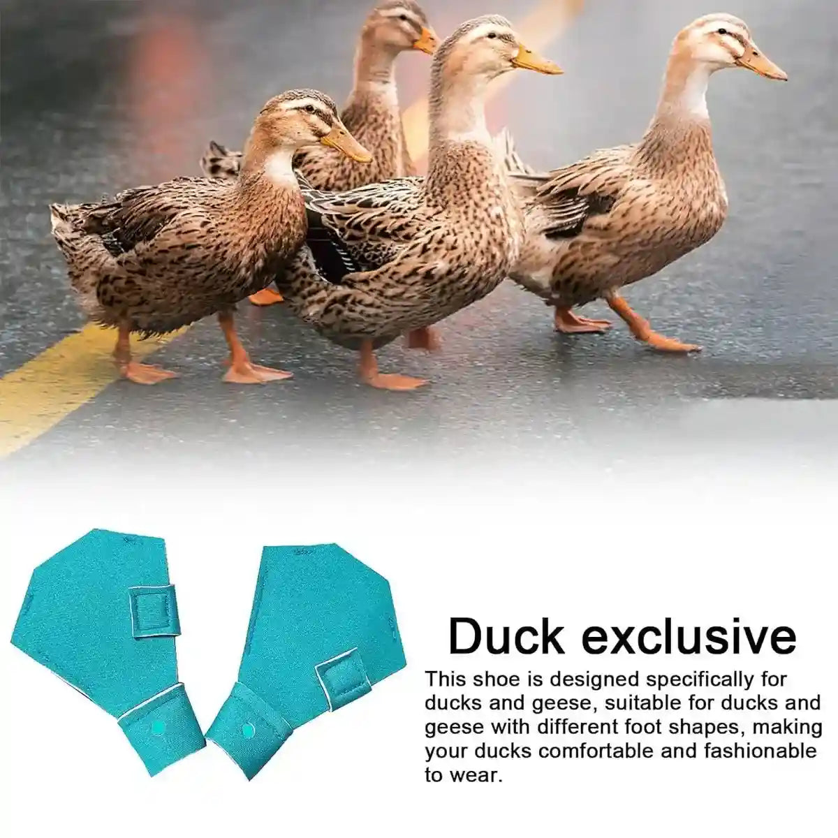 Adjustable Duck Shoes for Outdoor Foot Protection and Comfort