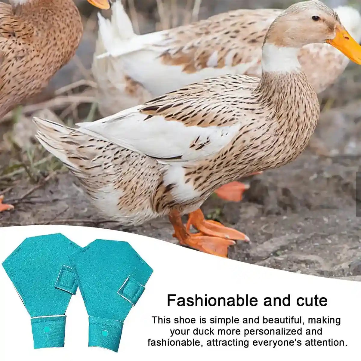 Adjustable Duck Shoes for Outdoor Foot Protection and Comfort