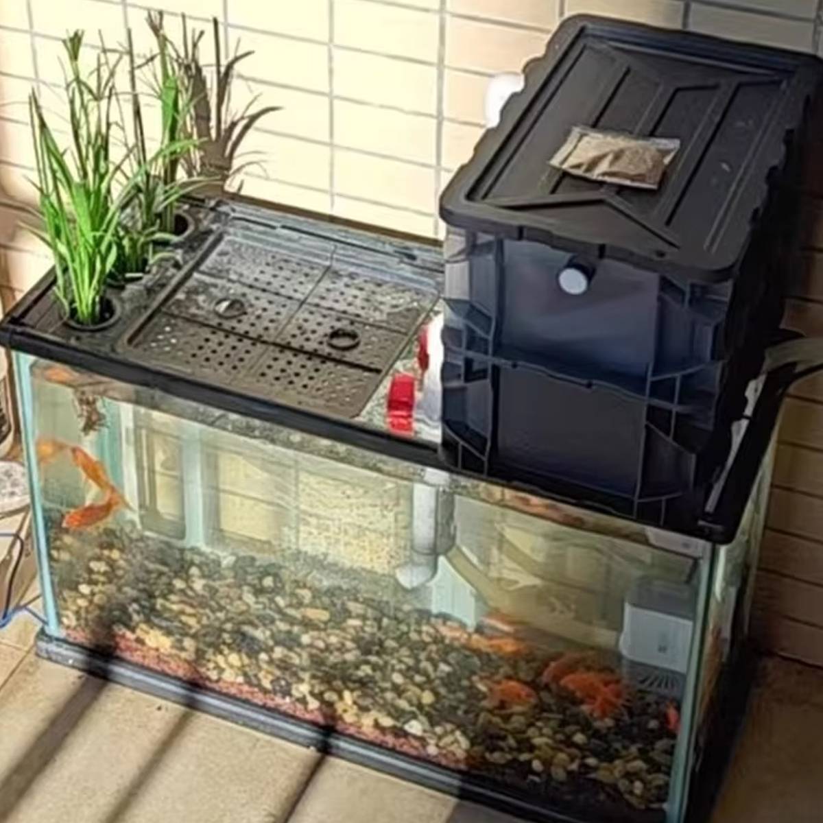 External Canister Filter - Aquarium Bio Filter Box High Performance