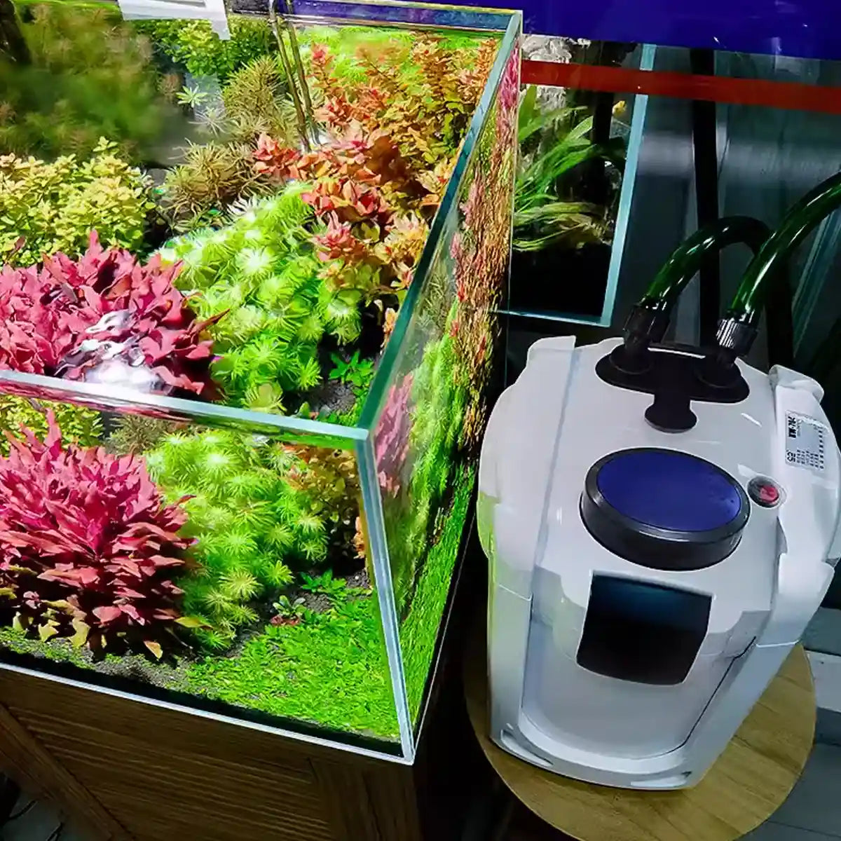 External Aquarium Filter Canister 24W 3-Layer High-Flow 1000L/h System