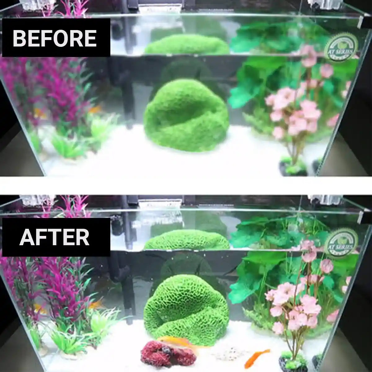 External Aquarium Filter Canister 24W 3-Layer High-Flow 1000L/h System