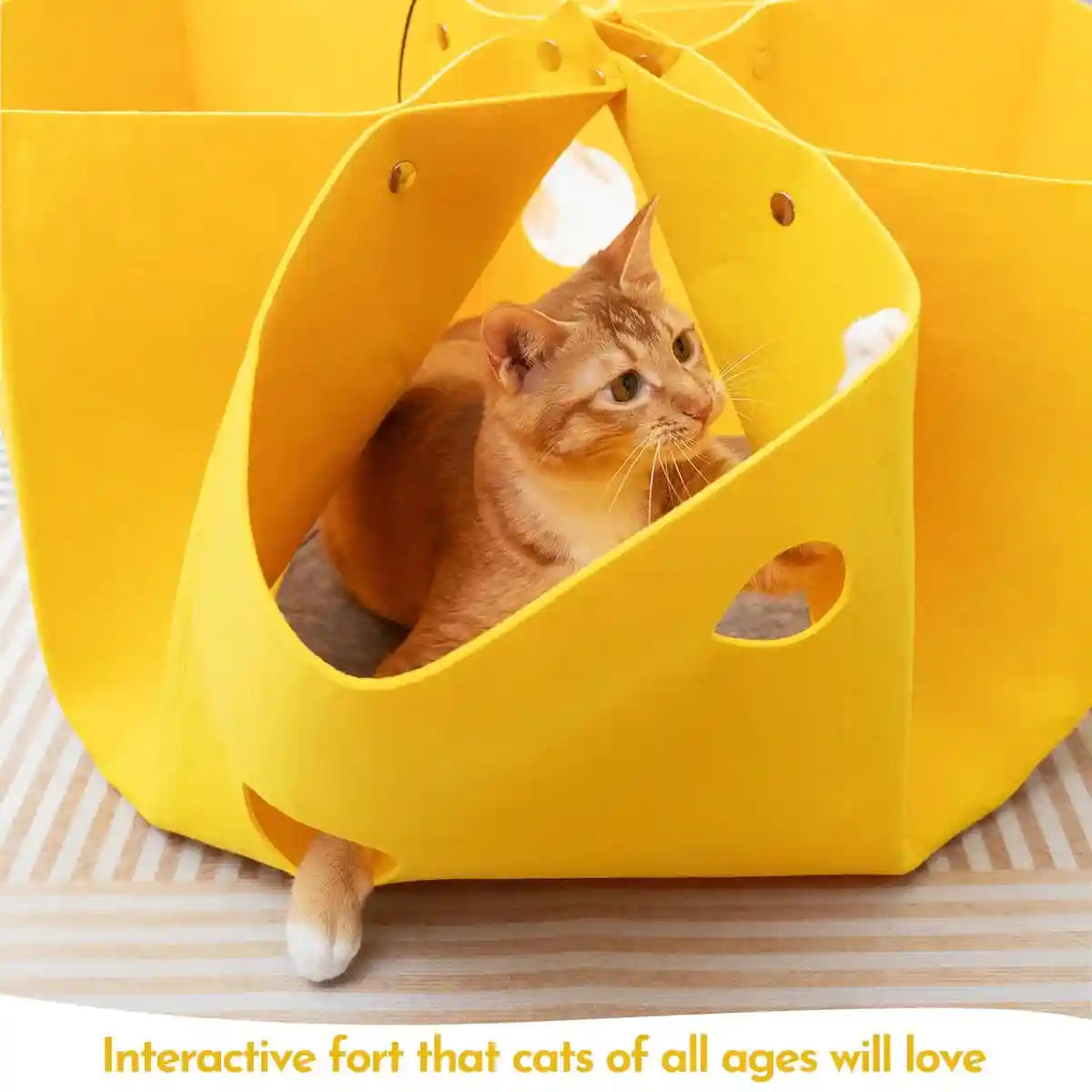 Felt Cat House Multi-Shape Convertible Cat Bed & Play Toy