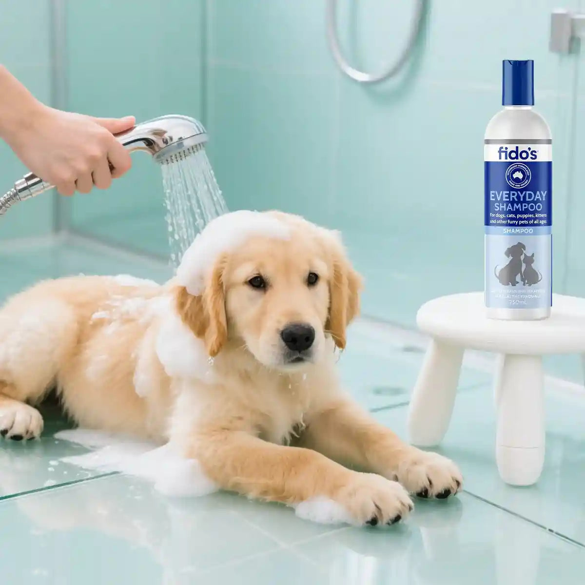 FIDOS Everyday Shampoo 250ml/500ml