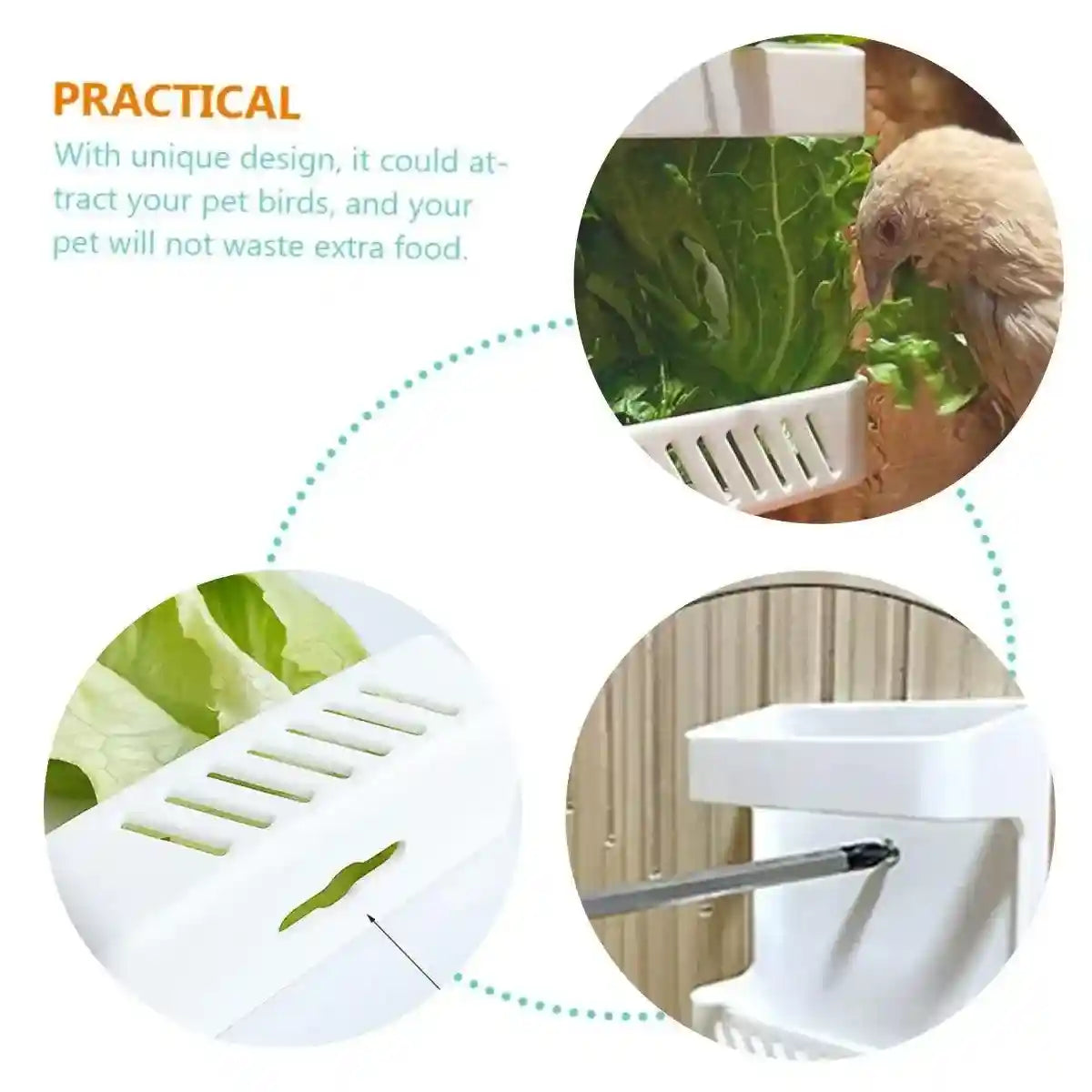 Wall-Mounted Poultry Feeder for Chickens & Small Animals Clean Feeding Solution