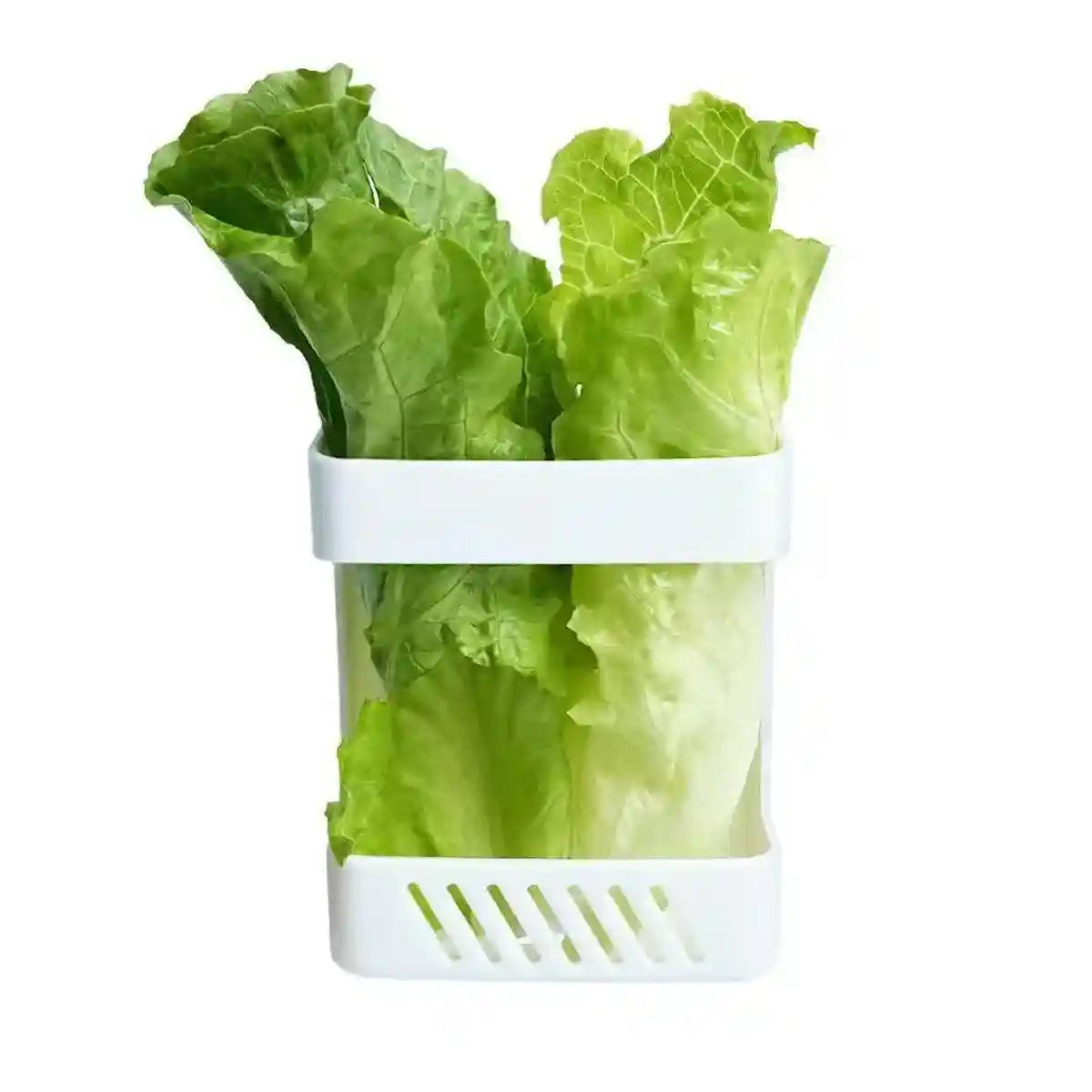 Wall-Mounted Poultry Feeder for Chickens & Small Animals Clean Feeding Solution