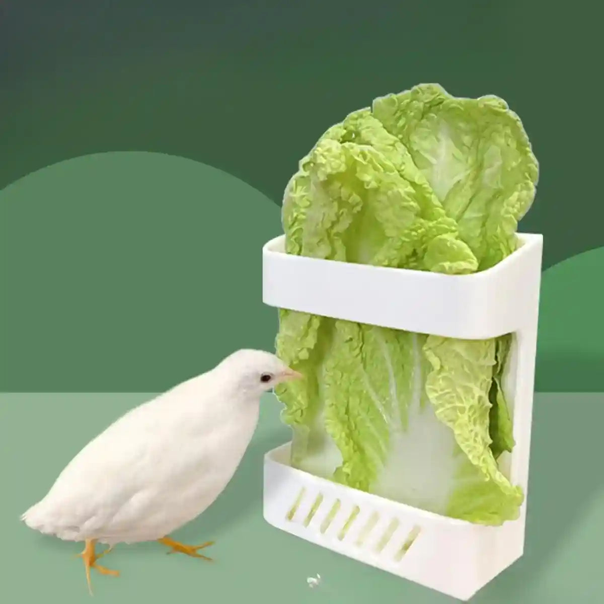 Wall-Mounted Poultry Feeder for Chickens & Small Animals Clean Feeding Solution