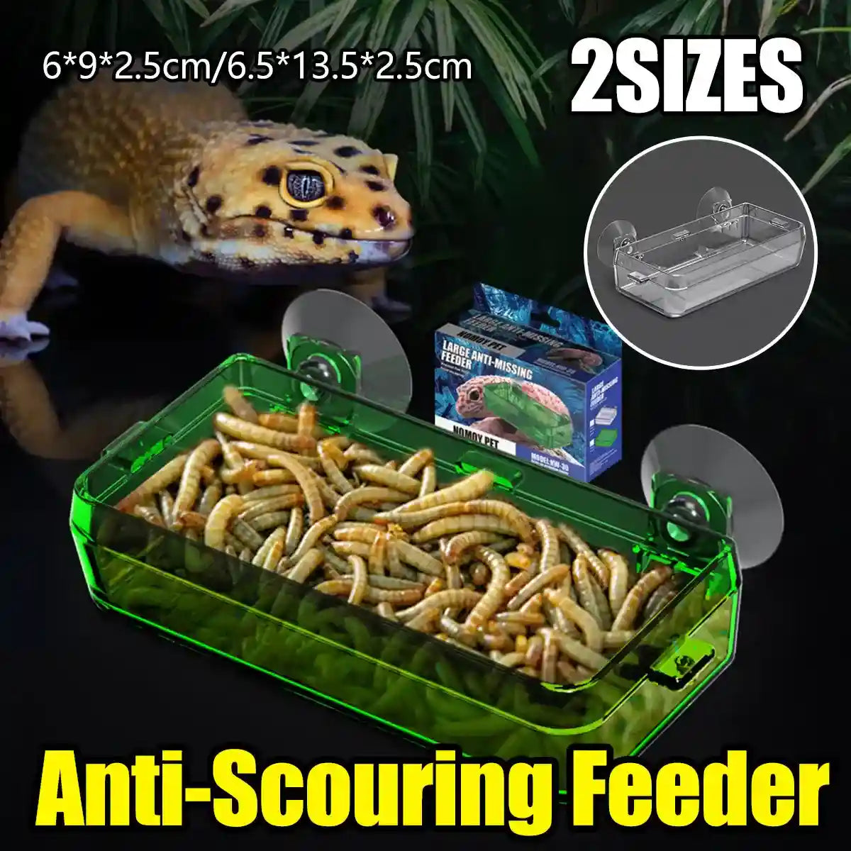 Spacious Turtle Box Habitat with Platform for Breeding & Resting