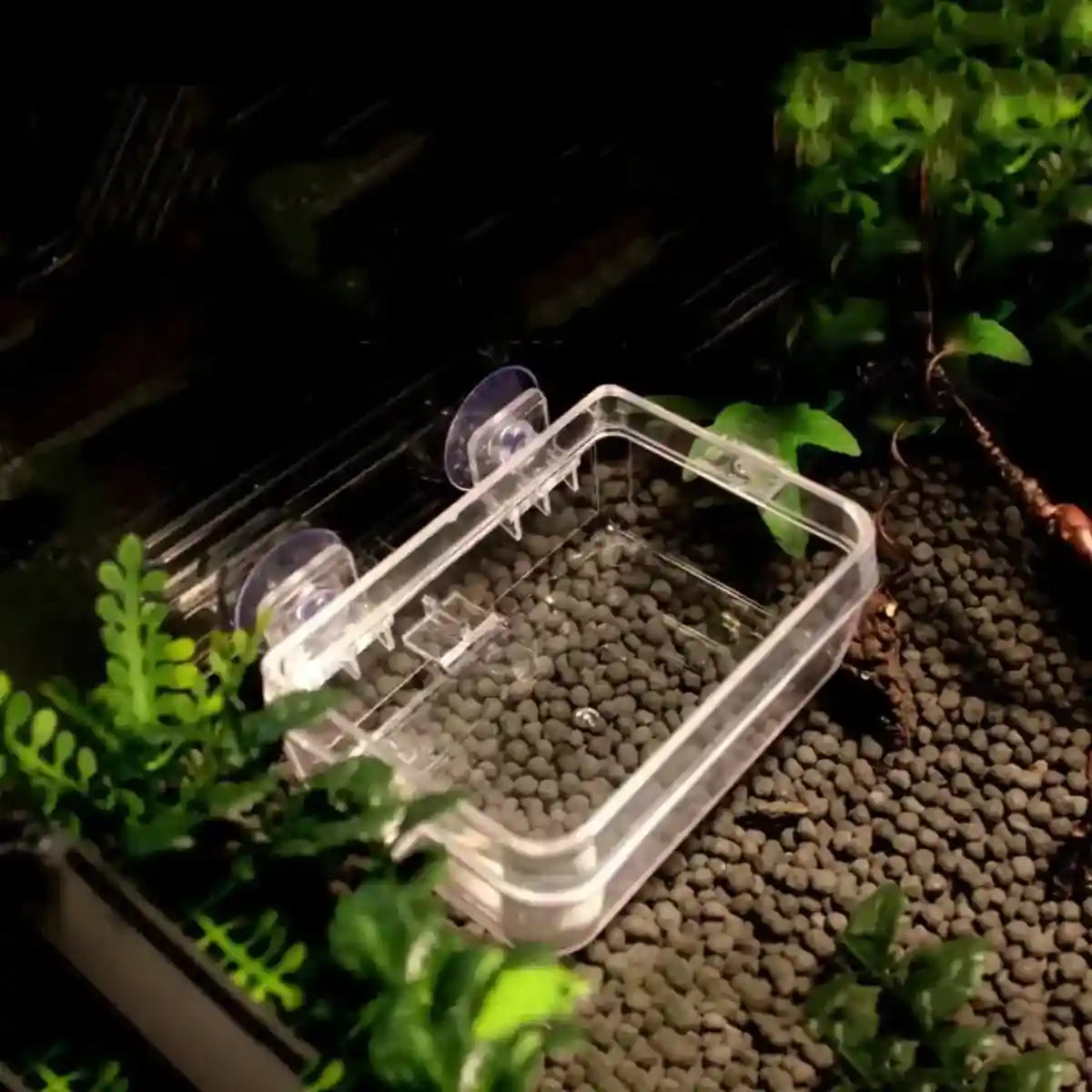 Spacious Turtle Box Habitat with Platform for Breeding & Resting