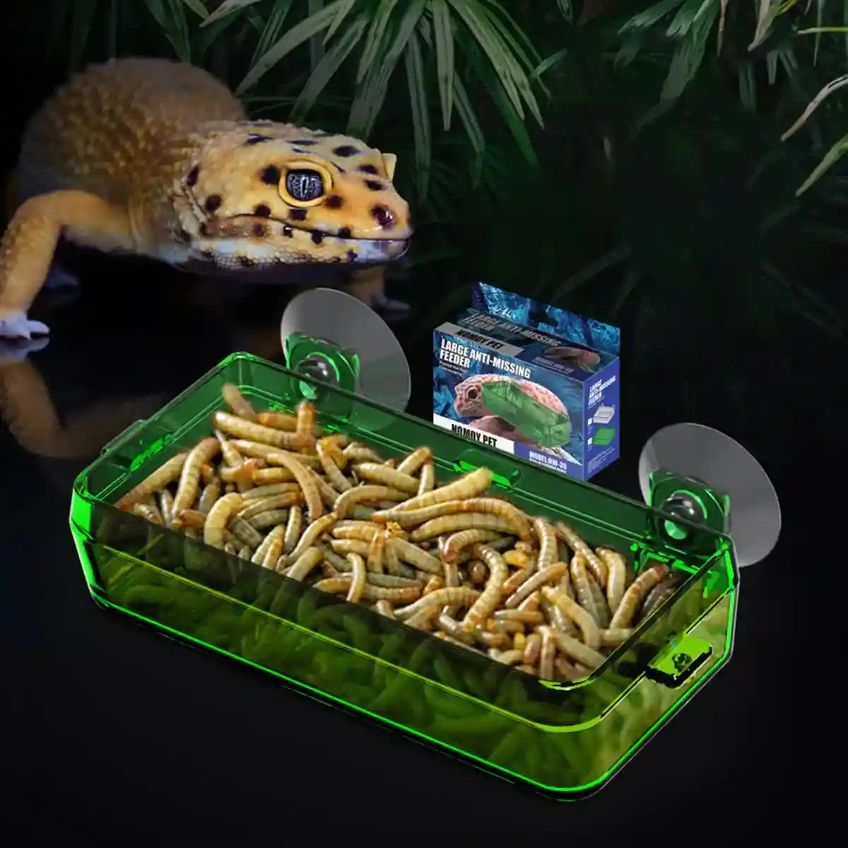 Spacious Turtle Box Habitat with Platform for Breeding & Resting