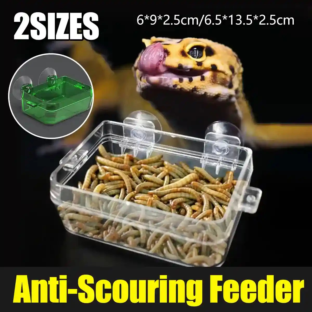 Plastic turtle box habitat with built-in resting platform