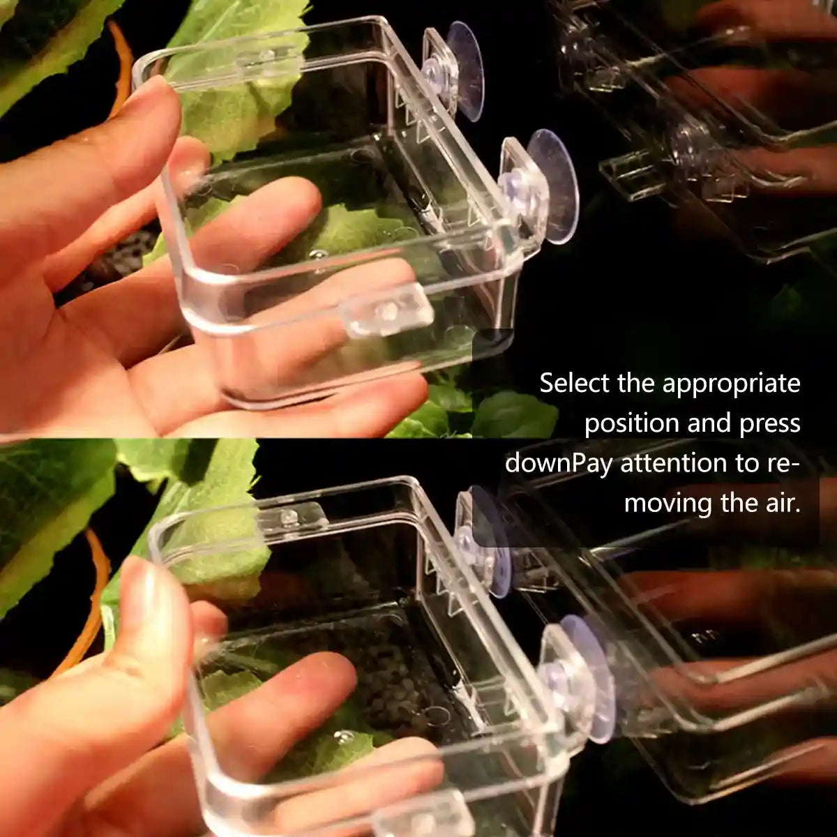 Spacious Turtle Box Habitat with Platform for Breeding & Resting