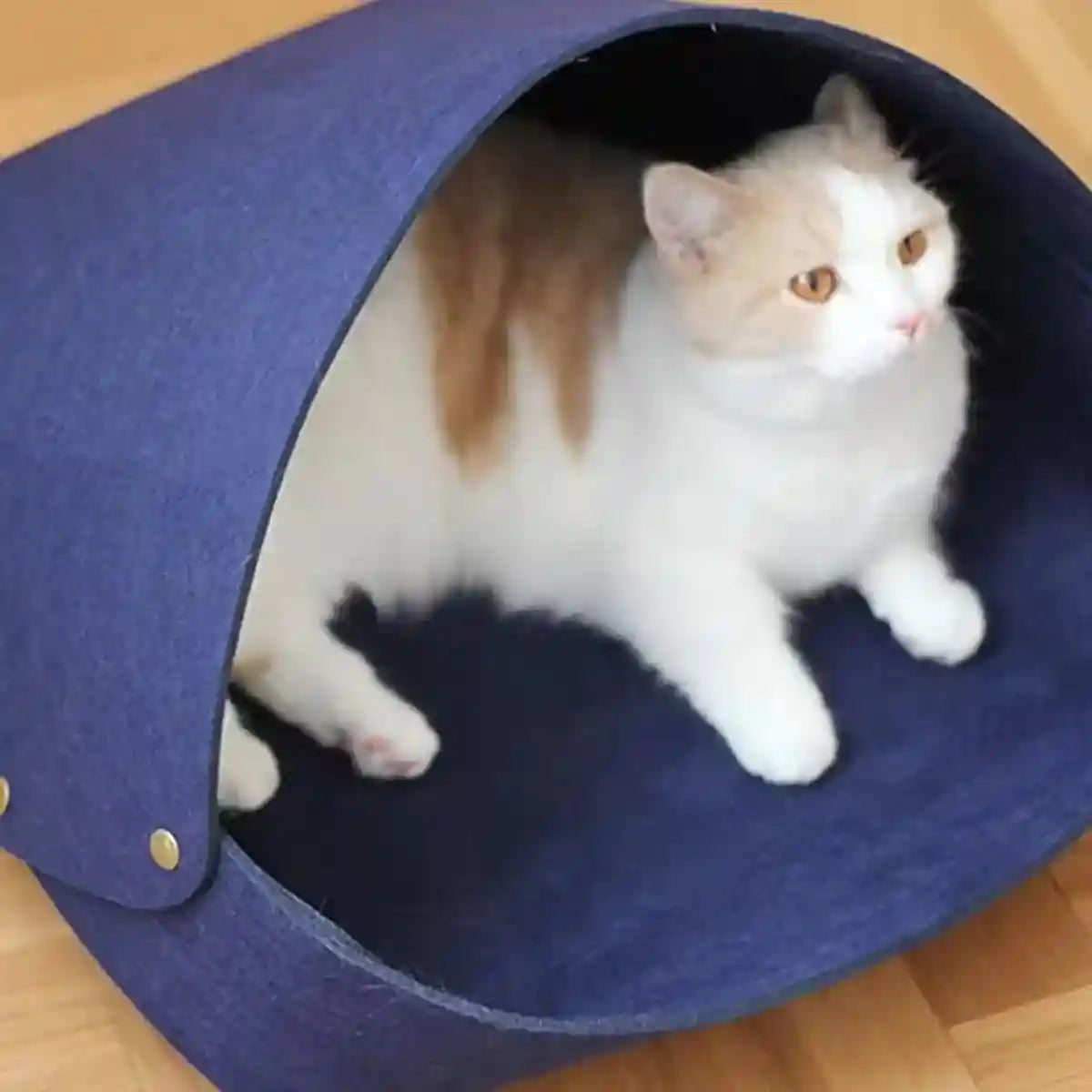 Semi-Enclosed Felt Cat Bed Comfortable & Stylish Cat Nest 3 Colors