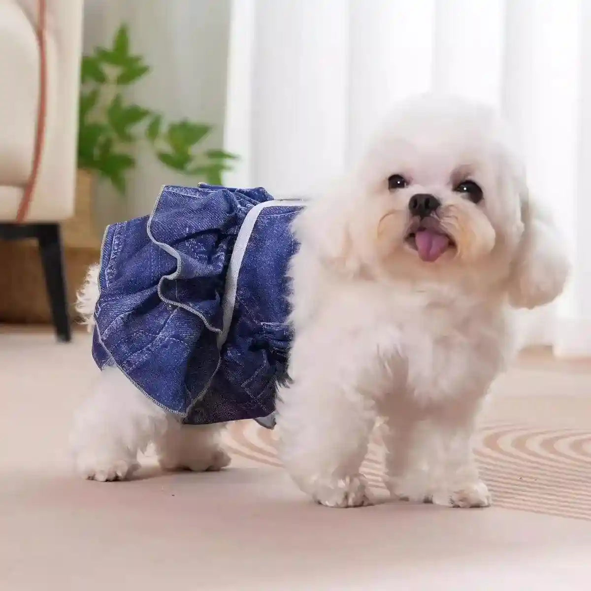 Stylish Washable Dog Diapers Reusable Pet Sanitary Pants