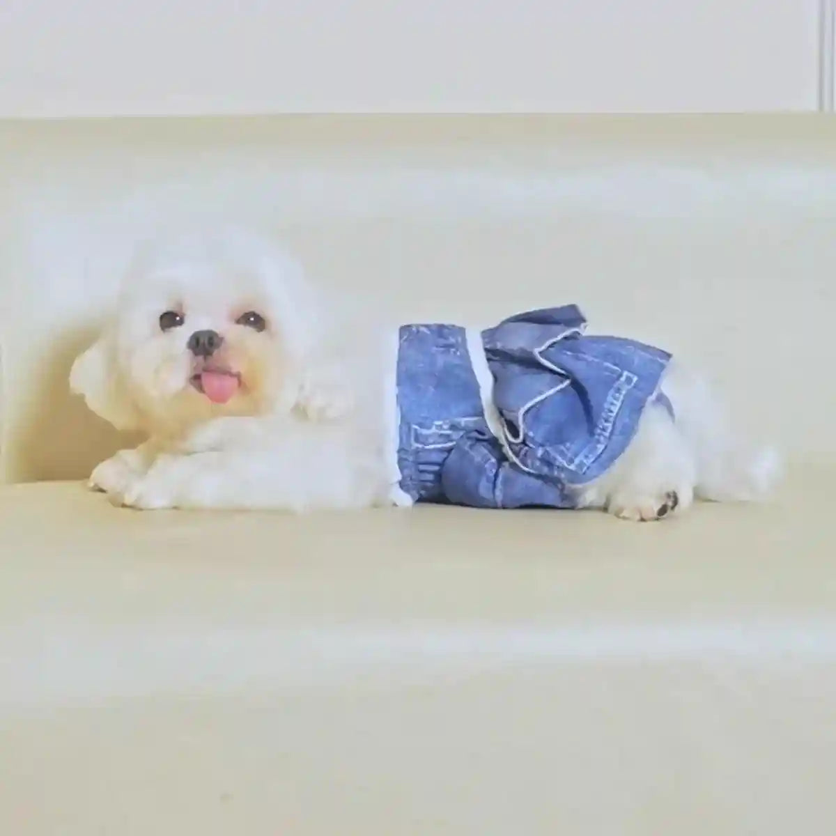 Stylish Washable Dog Diapers Reusable Pet Sanitary Pants