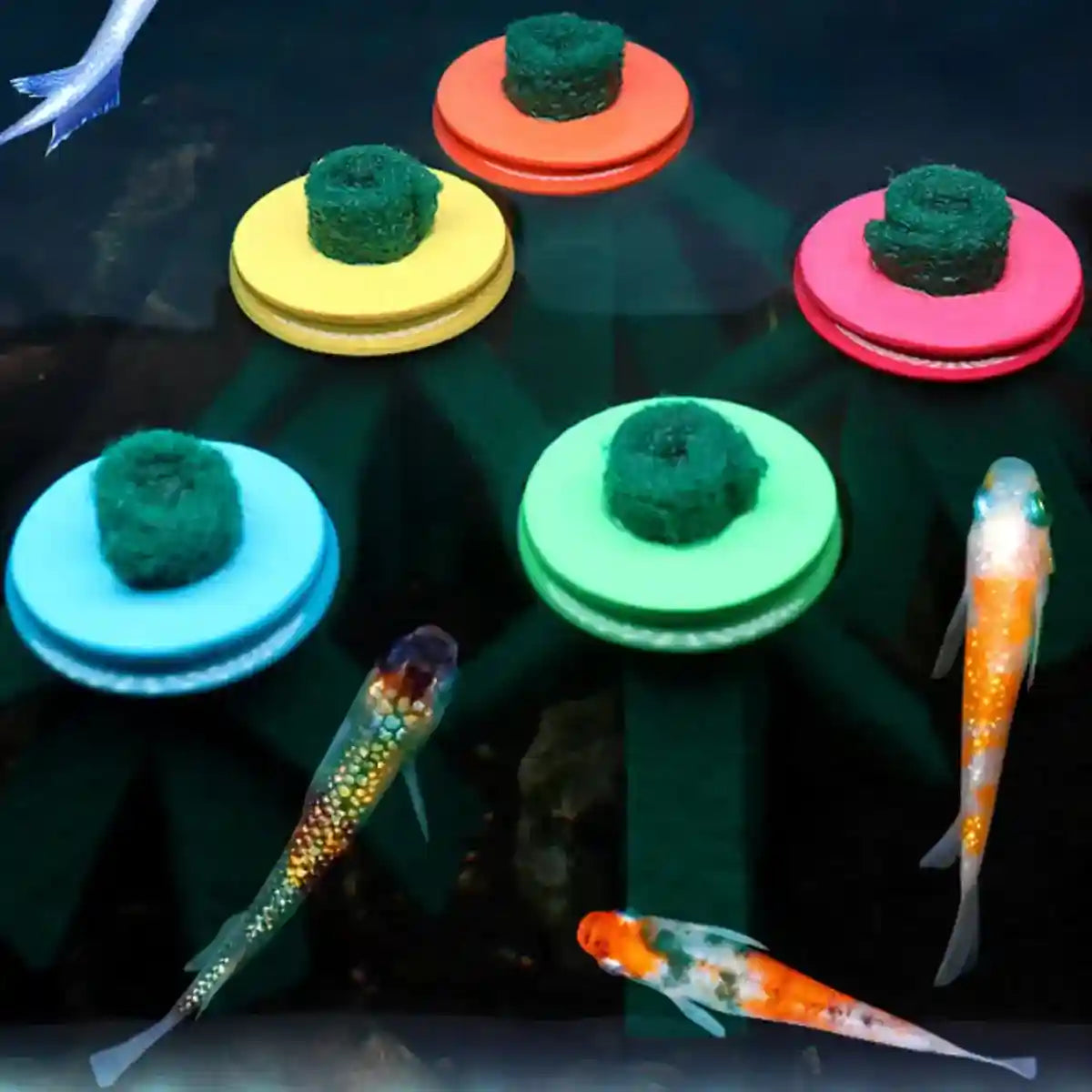 Fish Egg Collector 10PCS Aquarium Breeding Spawning Mop