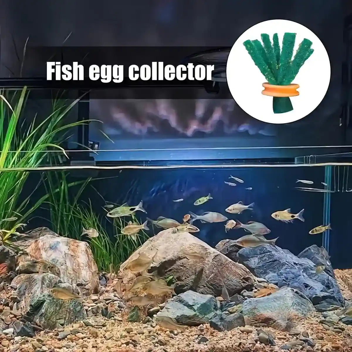 Fish Egg Collector 10PCS Aquarium Breeding Spawning Mop