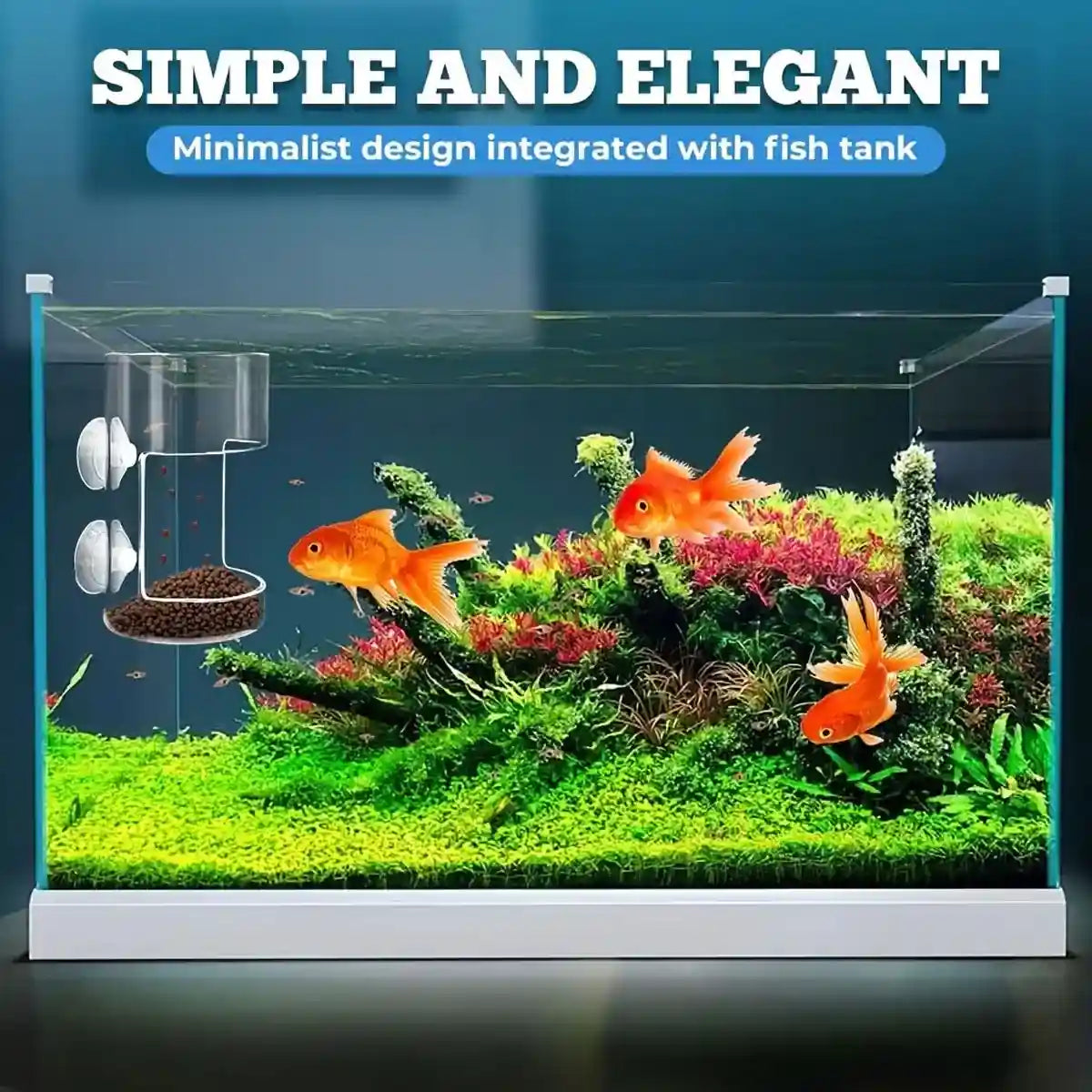 Fish Tank Feeder Box with Suction Cups