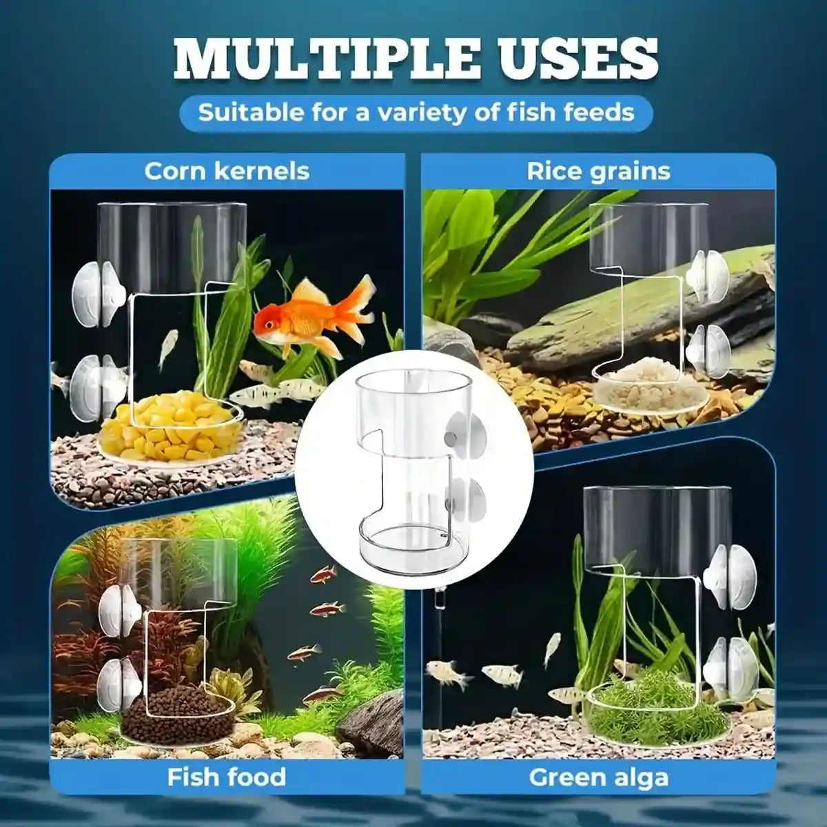 Fish Tank Feeder Box with Suction Cups