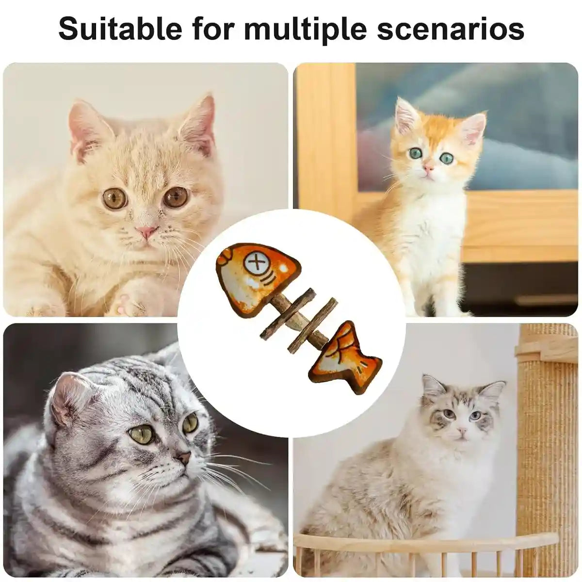 Cat Teething Toy Silvervine Chew Stick Dental Play