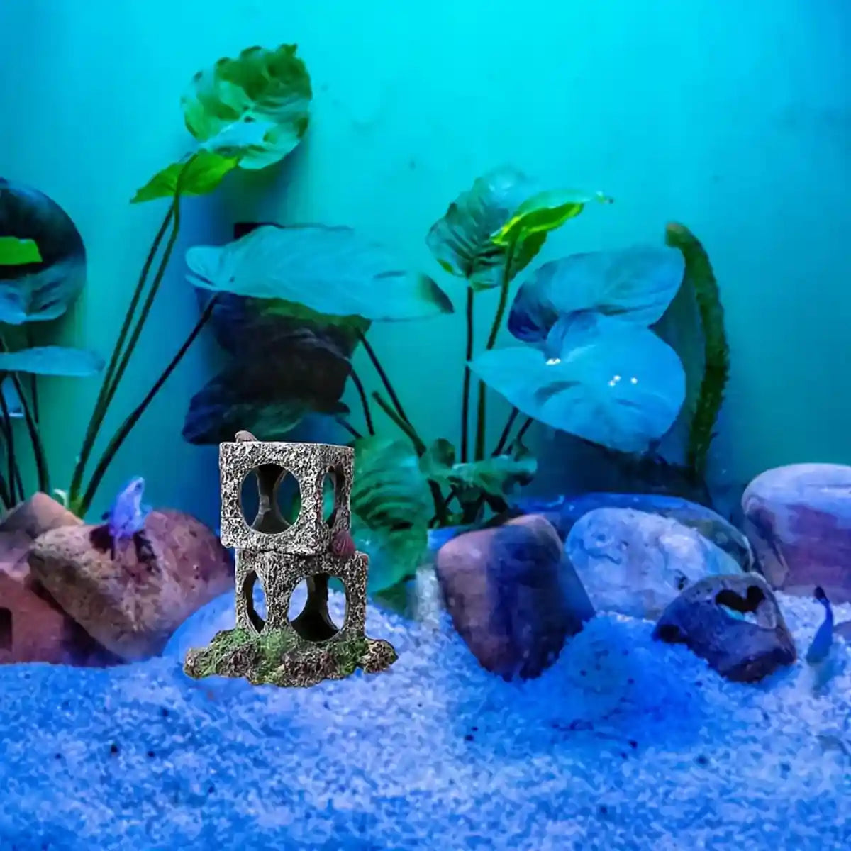 Square Aquarium Cave Resin Set for Small Fish Habitat and Aquascaping