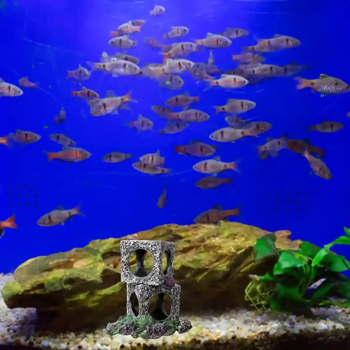 Square Aquarium Cave Resin Set for Small Fish Habitat and Aquascaping