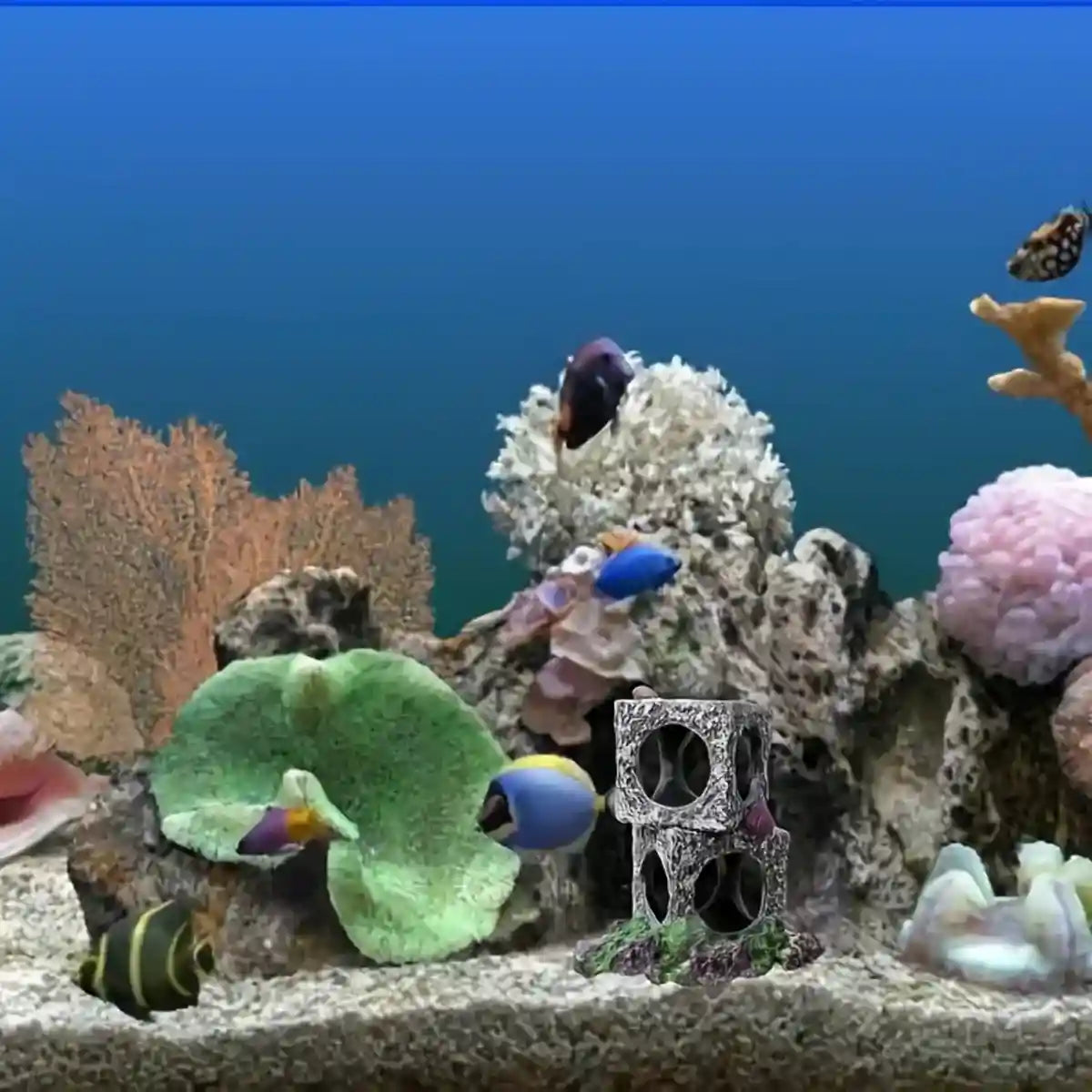 Square Aquarium Cave Resin Set for Small Fish Habitat and Aquascaping