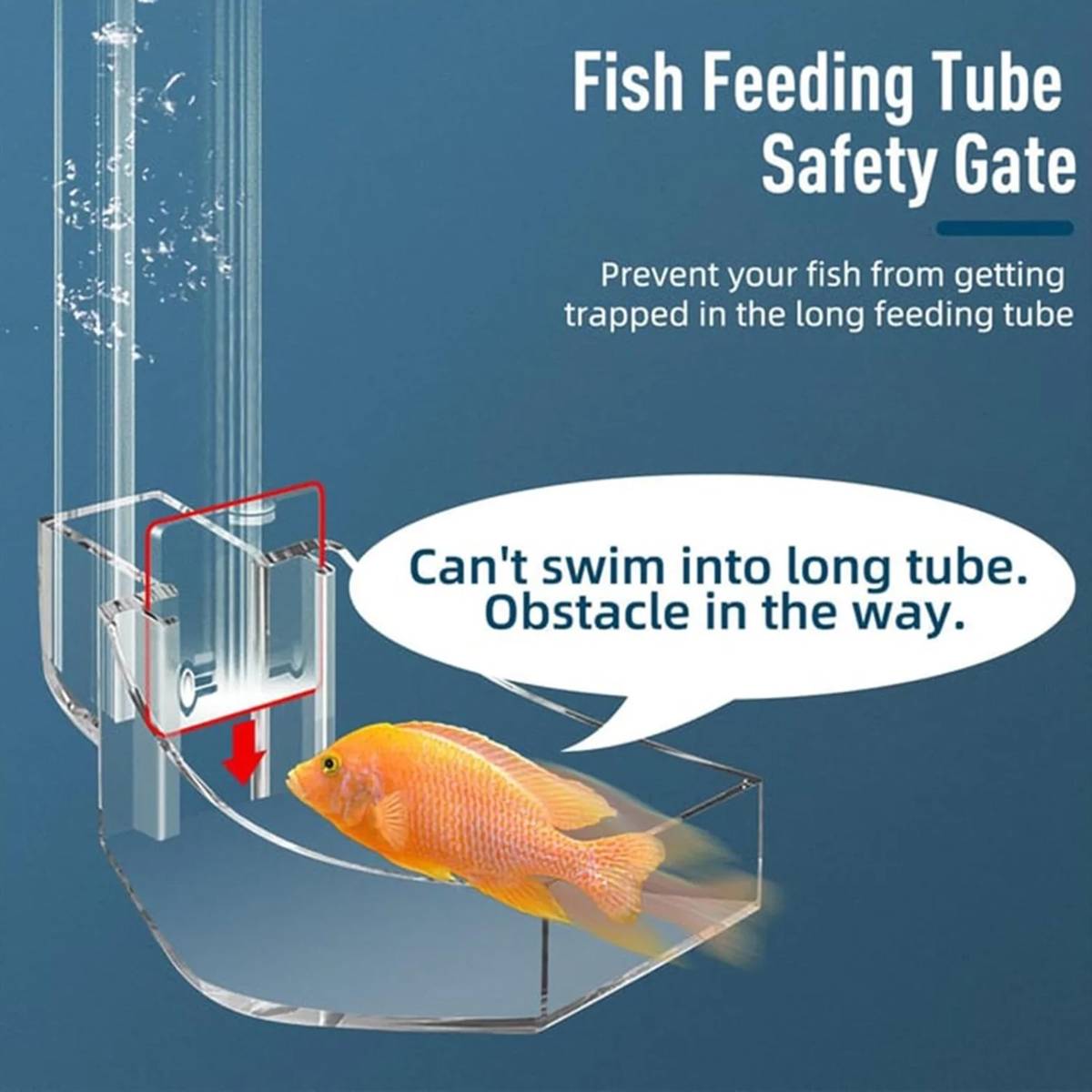 Fish Tank Feeder Tube - Crystal Shrimp Feeding Ring (17cm)