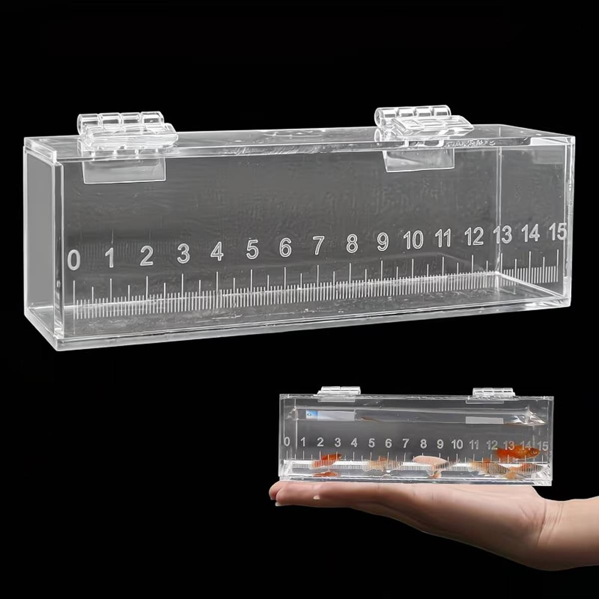 Fish Measuring Box With Ruler