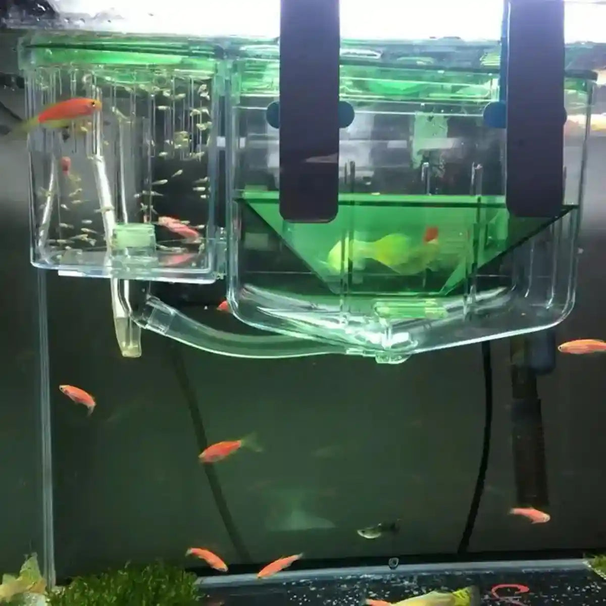 Automatic Breeding Box with Oxygen Port Multifunctional Fish Incubator