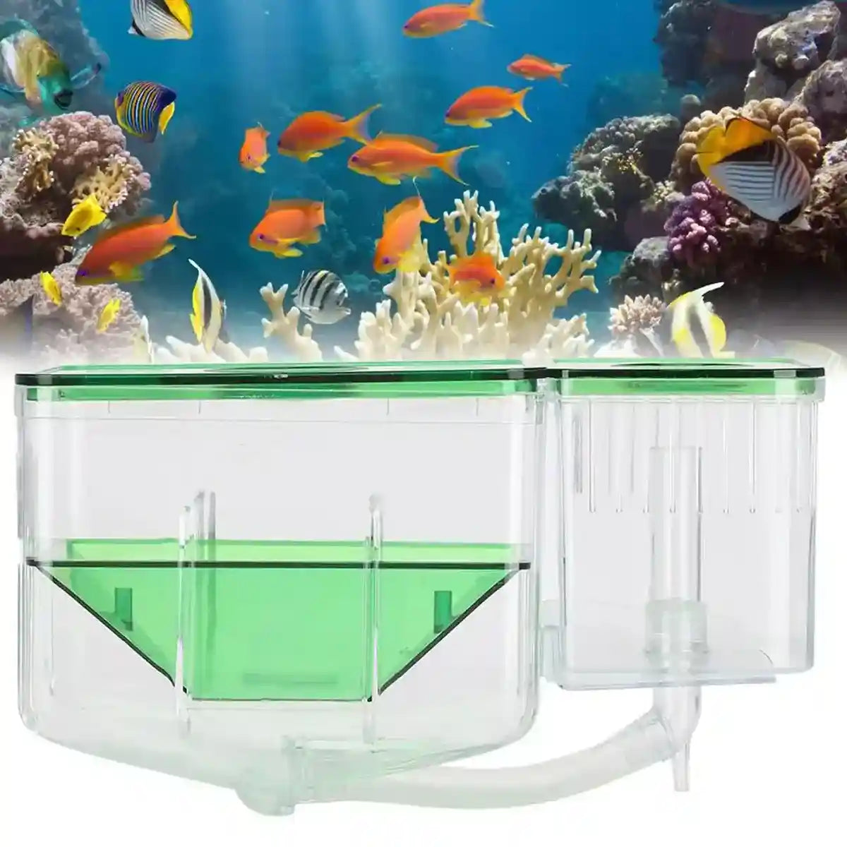 Automatic Breeding Box with Oxygen Port Multifunctional Fish Incubator