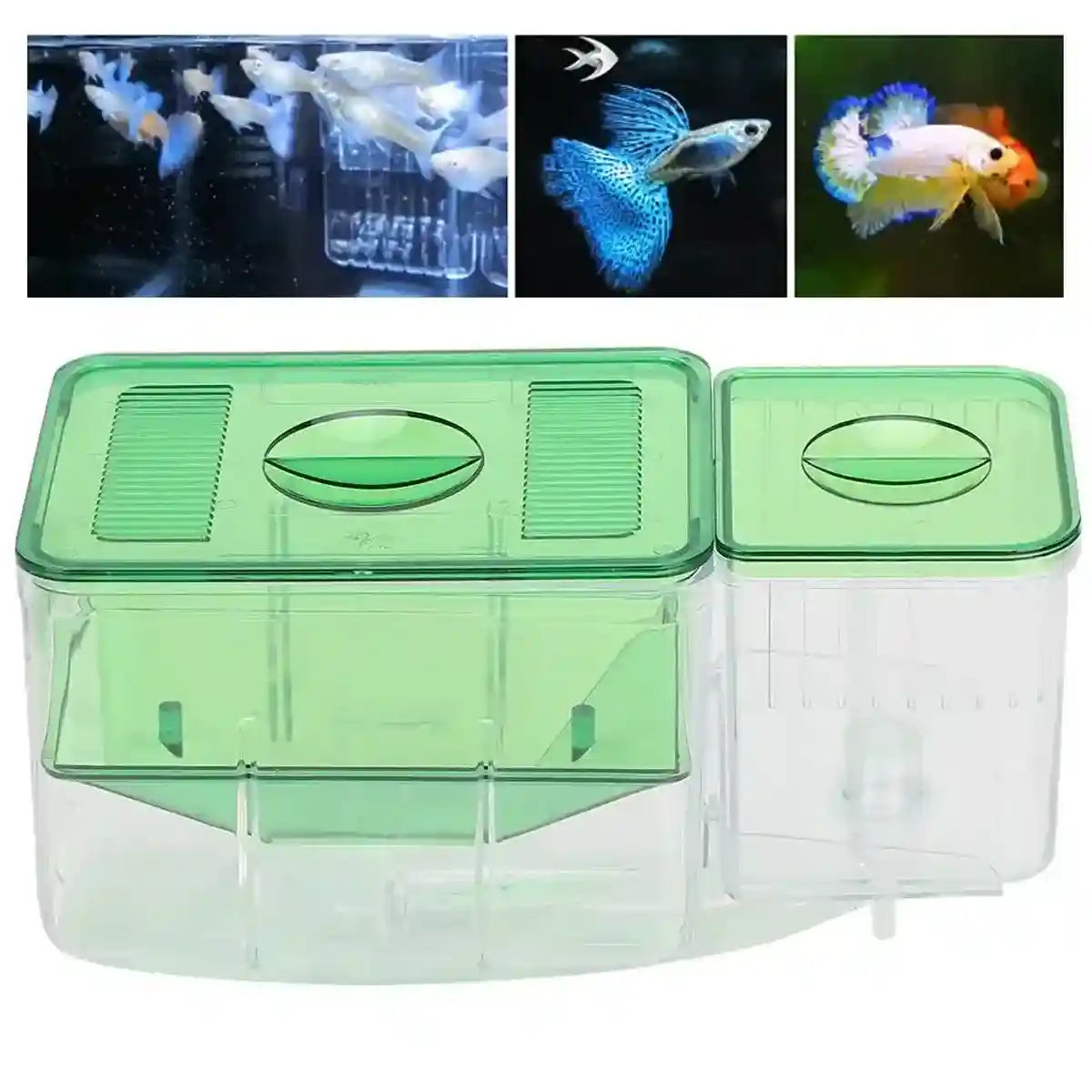 Automatic Breeding Box with Oxygen Port Multifunctional Fish Incubator