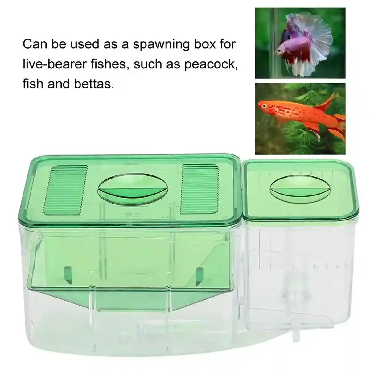 Automatic Breeding Box with Oxygen Port Multifunctional Fish Incubator