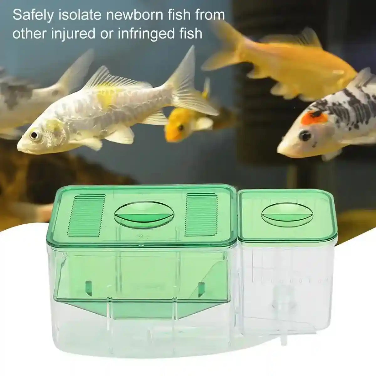 Automatic Breeding Box with Oxygen Port Multifunctional Fish Incubator