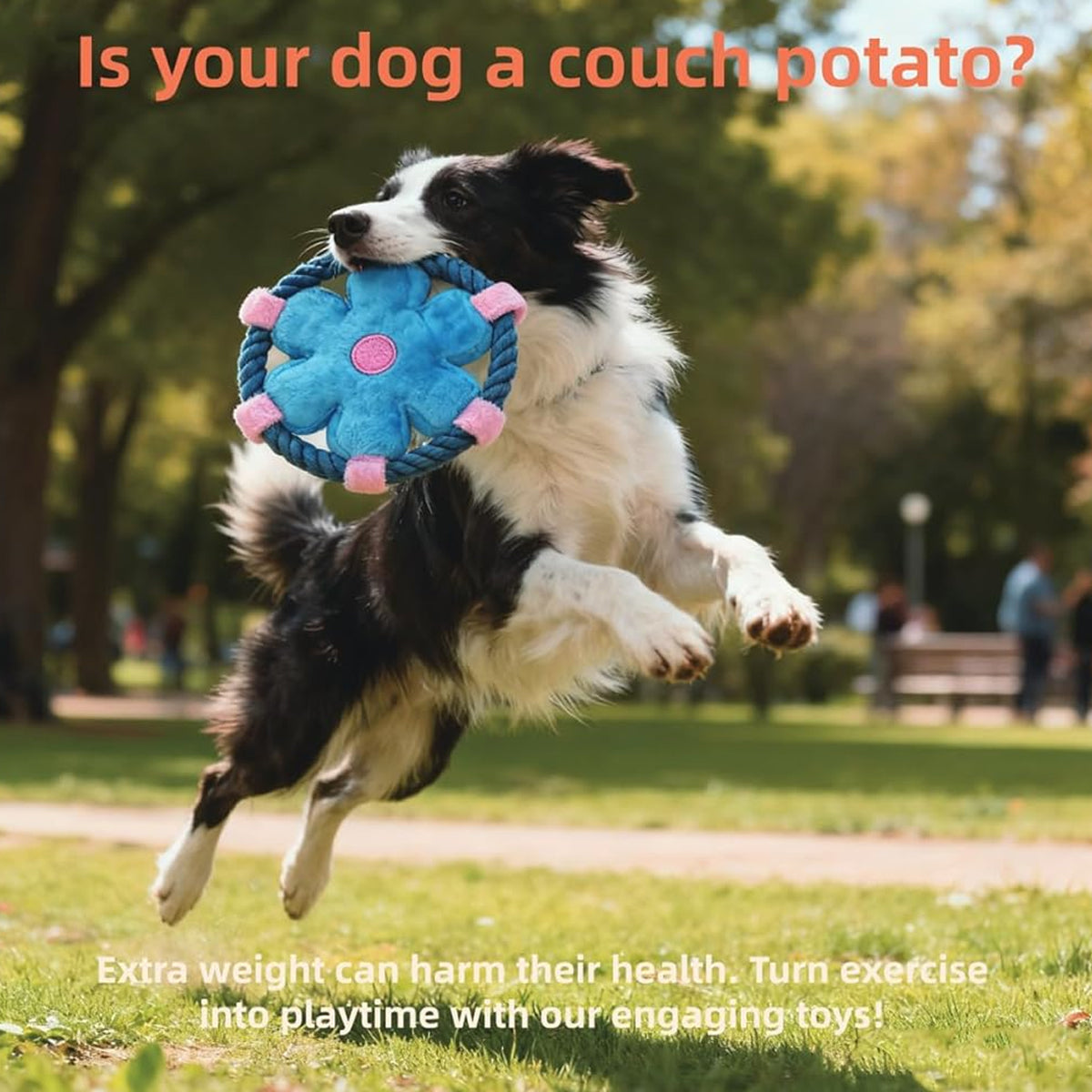 Flower Frisbee Dog Toy With Rope And Squeaker