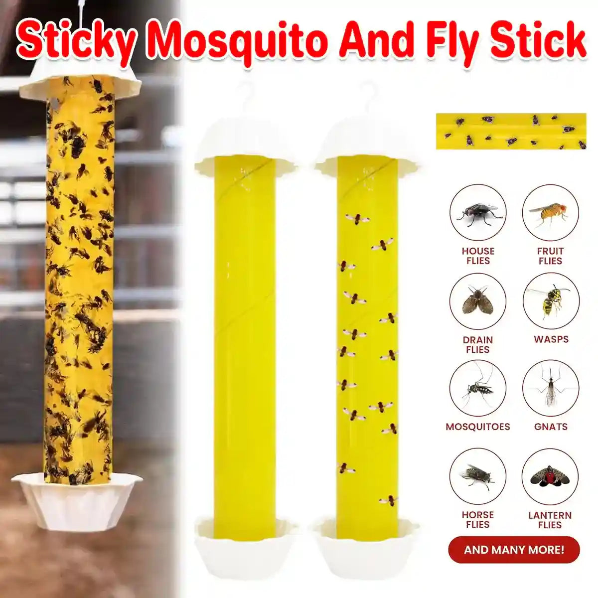 Sticky Fly Stick Trap for Insects â Odour-Free Non-Toxic Pest Catcher