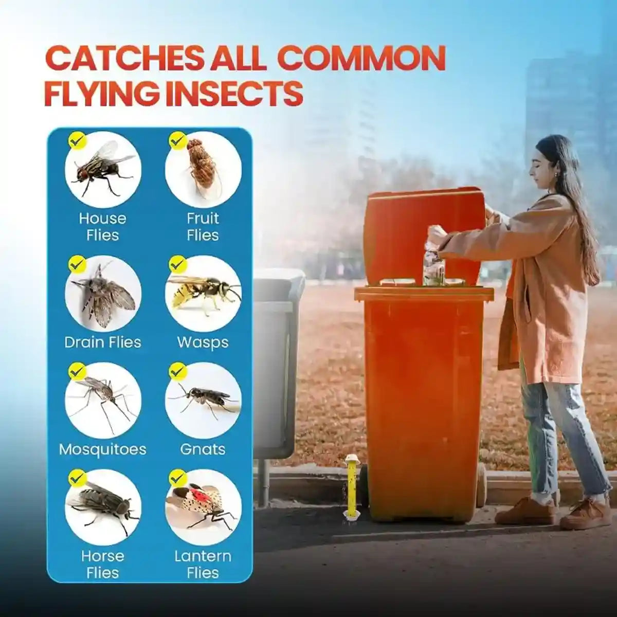 Sticky Fly Stick Trap for Insects â Odour-Free Non-Toxic Pest Catcher