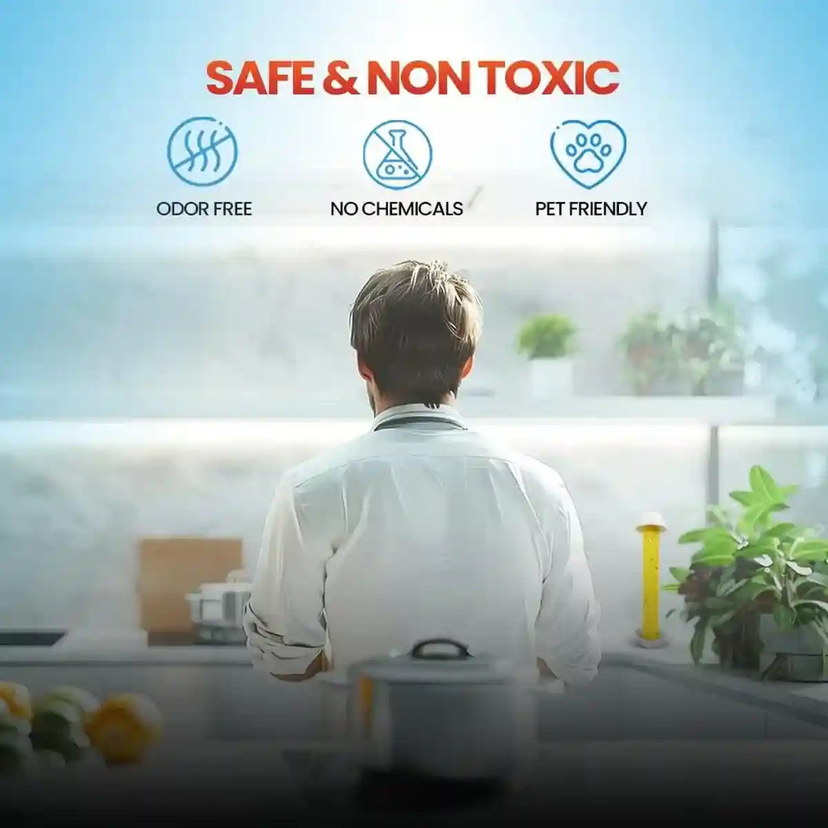 Sticky Fly Stick Trap for Insects â Odour-Free Non-Toxic Pest Catcher