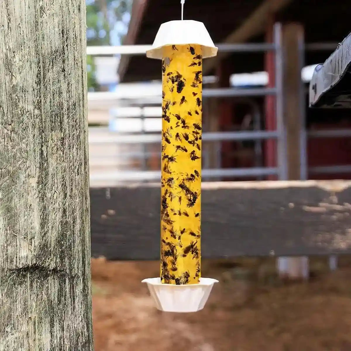 Sticky Fly Stick Trap for Insects â Odour-Free Non-Toxic Pest Catcher