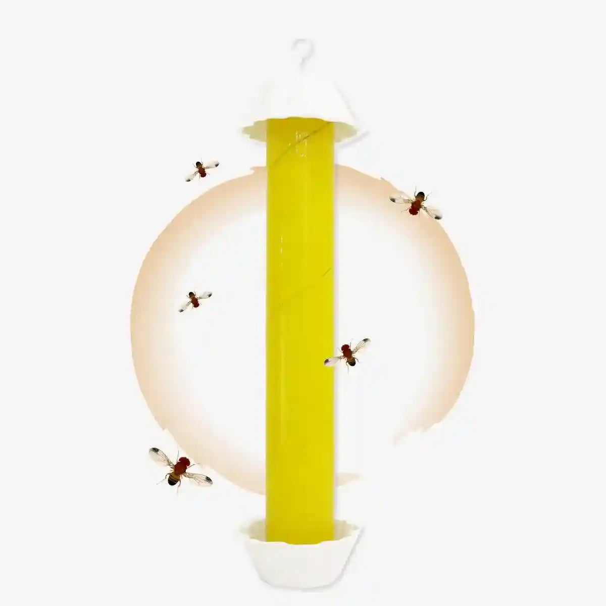 Sticky Fly Stick Trap for Insects â Odour-Free Non-Toxic Pest Catcher